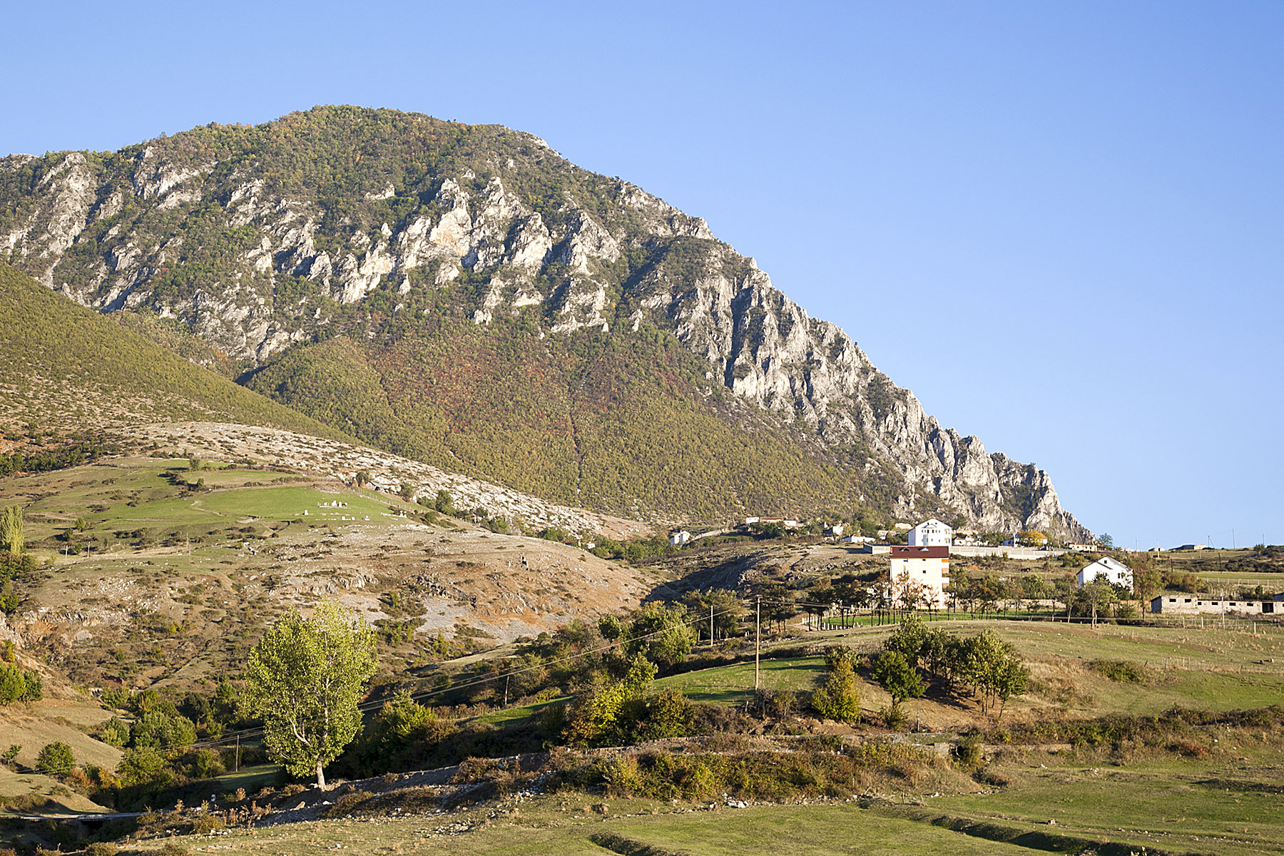 Terthore, Kukës